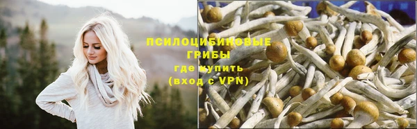 крисы Вяземский
