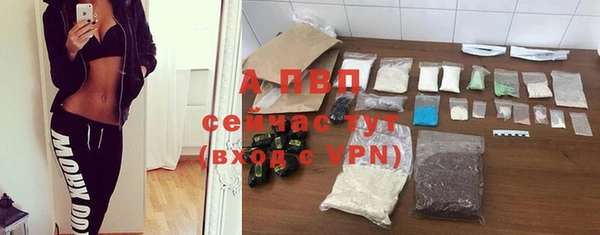 крисы Вяземский
