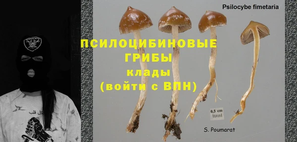 крисы Вяземский