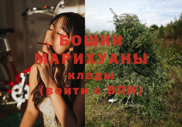 крисы Вяземский