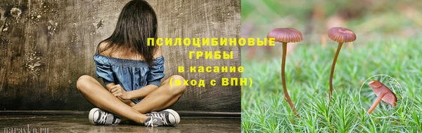 крисы Вяземский