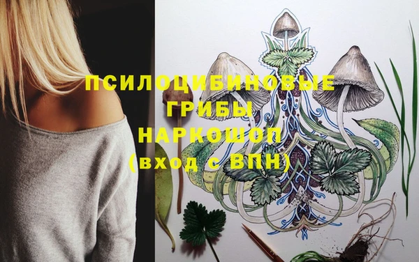 крисы Вяземский